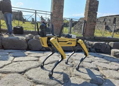 سگ رباتیک از شهر تاریخی محافظت می نماید
